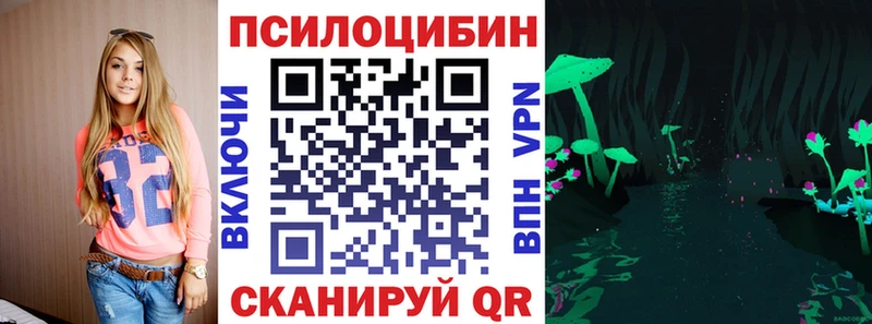 дарк нет наркотические препараты купить наркотик Кировск Галлюциногенные грибы мицелий
